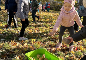 Dzieci zbierają do zielonego pojemnika ziemniaki znalezione w ogrodzie