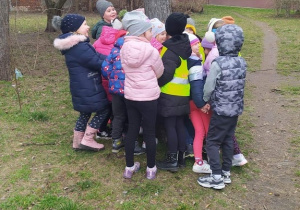 starszaki wykonują wiosenne zadania