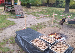 Ziemniaki czekaja na wrzucenie do ogniska