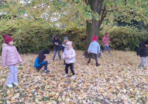 Dzieci szukają pod drzewem ziemniaków