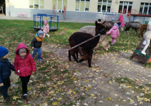 Dzieci spacerują z alpakami po ogrodzie