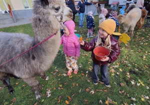 Dzieci karmią aplaki