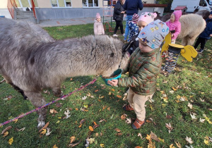 Dzieci karmią aplaki