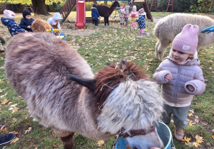 Dzieci karmią aplaki