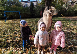 Dzieci spacerują z alpakami po ogrodzie