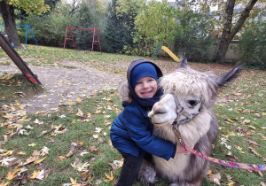 Dziecko przytula alpakę