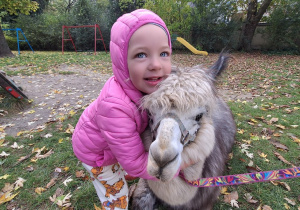 Dziecko przytula alpakę