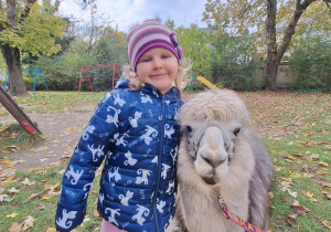 Dziecko przytula alpakę