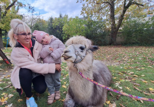 Dziecko przytula alpakę