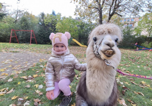 Dziecko przytula alpakę