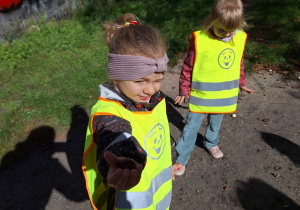 Dziewczynka pokazuje znaleziony kasztan