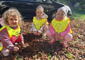 Trzy dziewczynki kucaja pod kasztanowcem