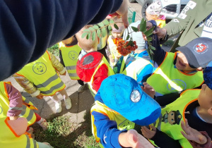 Dzieci oglądają jarzębinę