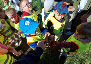 Dzieci oglądają jarzębinę