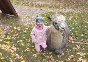 Dziecko przytula alpakę