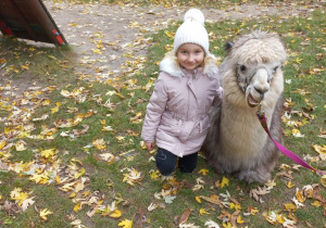 Dziecko przytula alpakę