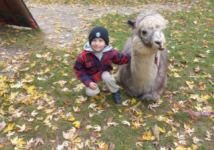 Dziecko przytula alpakę