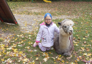 Dziecko przytula alpakę