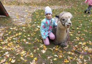 Dziecko przytula alpakę