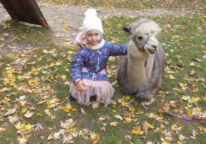 Dziecko przytula alpakę