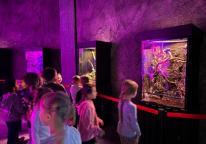 Dzieci zwiedzają Orientarium w ZOO