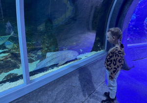 Dzieci zwiedzają Orientarium w ZOO