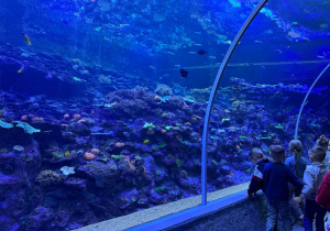 Dzieci zwiedzają Orientarium w ZOO