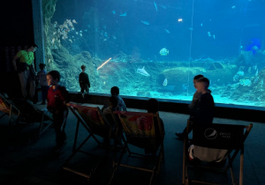 Dzieci zwiedzają Orientarium w ZOO