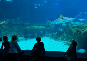 Dzieci zwiedzają Orientarium w ZOO