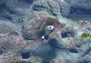 Dzieci zwiedzają Orientarium w ZOO