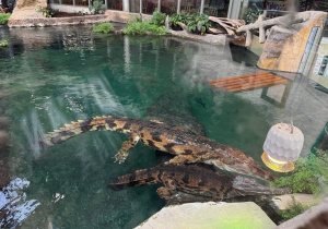 Dzieci zwiedzają Orientarium w ZOO