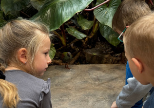 Dzieci zwiedzają Orientarium w ZOO