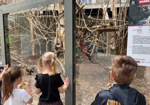 Dzieci zwiedzają Orientarium w ZOO