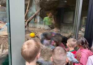 Dzieci zwiedzają Orientarium w ZOO