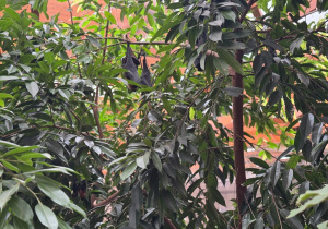 Dzieci zwiedzają Orientarium w ZOO