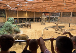 Dzieci oglądają słonie