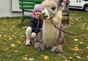 Dziecko przytula się do alpaki