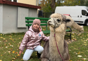 Dziecko przytula się do alpaki