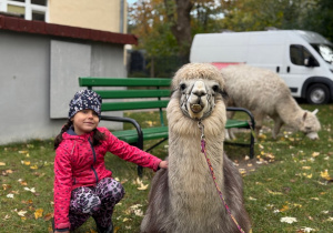 Dziecko przytula się do alpaki