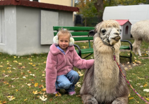 Dziecko przytula się do alpaki
