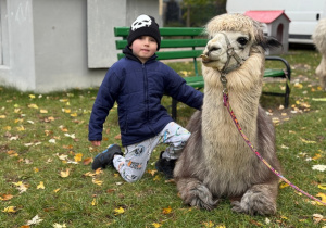 Dziecko przytula się do alpaki