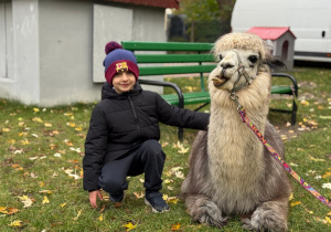 Dziecko przytula się do alpaki