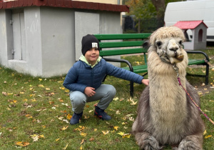 Dziecko przytula się do alpaki