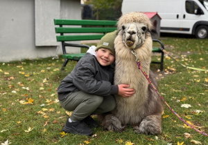 Dziecko przytula się do alpaki