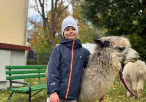 Dziecko przytula się do alpaki