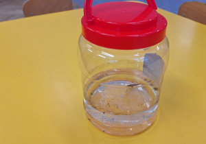 Dzieci obserwują przyniesiony z ogrodu snieg